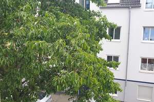 3,5 Raum Wohnung im jungen dynamischen Duisburg-Wanheimerort – Fischerstr. 11, 47055 Wanheimerort, Duisburg – Vorschaubild 9