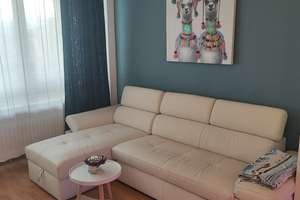 Möblierte 1-Zimmer-Wohnung in Wiesbaden – Erich-Ollenhauer-Straße 34F, 65187 Biebrich, Wiesbaden – Vorschaubild 3