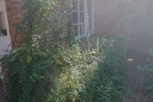 Bauernhaus mit bezauberndem Garten – Quelkhorner Landstraße 3, 28870 Ottersberg – Vorschaubild 16