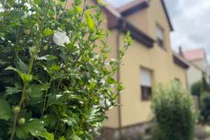 WOHLFÜHLEN -  ZUHAUSE SEIN - FAMILIEN MIT KINDERN SEHR ERWÜNSCHT – Die vollständige Adresse der Immobilie erhältst du vom Anbieter., 99195 Stotternheim, Erfurt – Vorschaubild 8