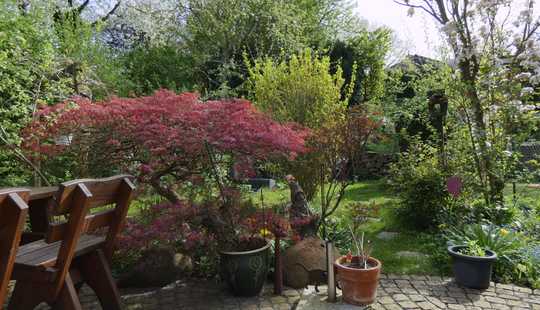 Bild von Wunderschönes Reihenendhaus in guter Lage von Neu-Anspach Hausen