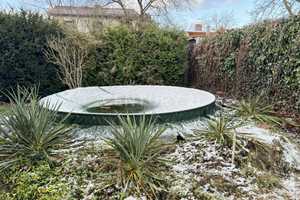 Charmantes Kleinhaus aus dem Winterschlaf – Frühblüher warten auf neues Leben! – Barnim (Kreis) – Vorschaubild 4