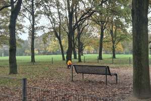 Direkt im Grünen: 2-Zimmer-Wohnung in Köln-Zollstock – Türnicherstraße 1, 50969 Zollstock, Köln – Vorschaubild 8