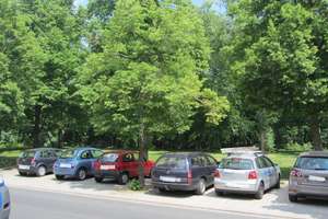 Sanierter Altbau im östlichen Ringgebiet – Herzogin-Elisabeth-Str.  23, 38102 Östliches Ringgebiet, Braunschweig – Vorschaubild 9