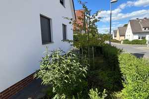 Saniertes, freistehendes Einfamilienhaus mit großem Garten in Hannover-Ahlem – Hannover – Vorschaubild 11