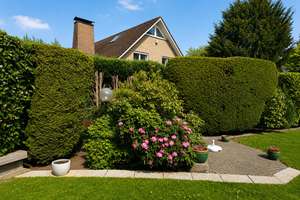 Exklusiver villenartiger Bungalow mit privater Wellnessoase und Künstler-Unikat in Krefeld-Verberg – Die vollständige Adresse der Immobilie erhältst du vom Anbieter., 47802 Verberg, Krefeld – Vorschaubild 7