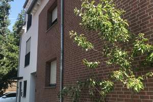 Exclusive Wohnanlage mit 1 FH und 3 FH, neuwertig – 60386 Fechenheim, Frankfurt am Main – Vorschaubild 12