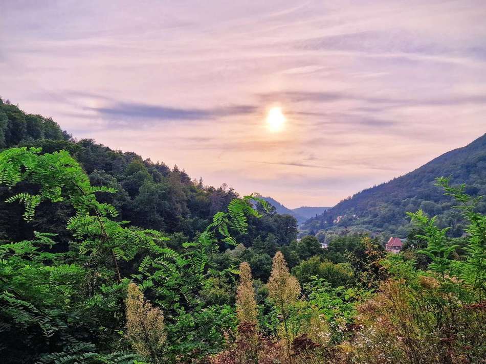 Blickrichtung Tal