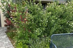 Herrliche Drei-Zimmer-Gartenwohnung in Feldmoching – Die vollständige Adresse der Immobilie erhältst du vom Anbieter., 80995 Feldmoching, München – Vorschaubild 2