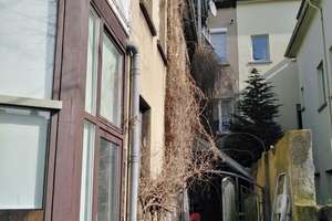 ETW 60qm mit Terrasse -Kapitalanlage- Westwall in Krefeld! – Die vollständige Adresse der Immobilie erhältst du vom Anbieter., 47798 Stadtmitte, Krefeld – Vorschaubild 11