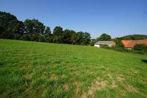 Hier haben Sie viel Platz! Einfamilienhaus, 3 Stadl und Garage auf großzügigem Grundstück + Acker... – Neuburg-Schrobenhausen (Kreis) – Vorschaubild 13