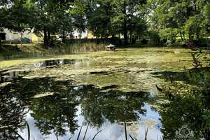 Ländliches Wohnen direkt am Dorfteich in Priestewitz – 1561 Priestewitz – Vorschaubild 7