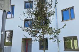 LIVING IN BALANCE! NEUBAU! EINBAUKÜCHE! ALTPERLACH! – Sandgrubenweg 182, 81737 Altperlach, München – Vorschaubild 6