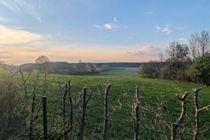 Ökologisch gebaute DHH mit unverbauten Blick ins Grüne – Die vollständige Adresse der Immobilie erhältst du vom Anbieter., 83607 Holzkirchen – Vorschaubild 5