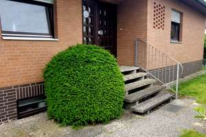 Bungalow in ruhiger Ortslage von Winsen (Aller) – Die vollständige Adresse der Immobilie erhältst du vom Anbieter., 29308 Winsen (Aller) – Vorschaubild 3