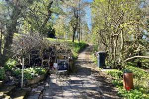 Einfamilien- oder Ferienhaus am Waldrand  von Sondershausen – Bergstr. 15, 99706 Sondershausen – Vorschaubild 8