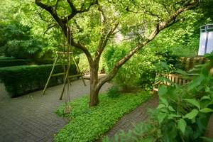 Property thumbnail 14