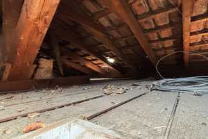 Seltene Gelegenheit! Kompakter Bungalow mit tollem Grundstück. – Mainz-Bingen (Kreis) – Vorschaubild 27