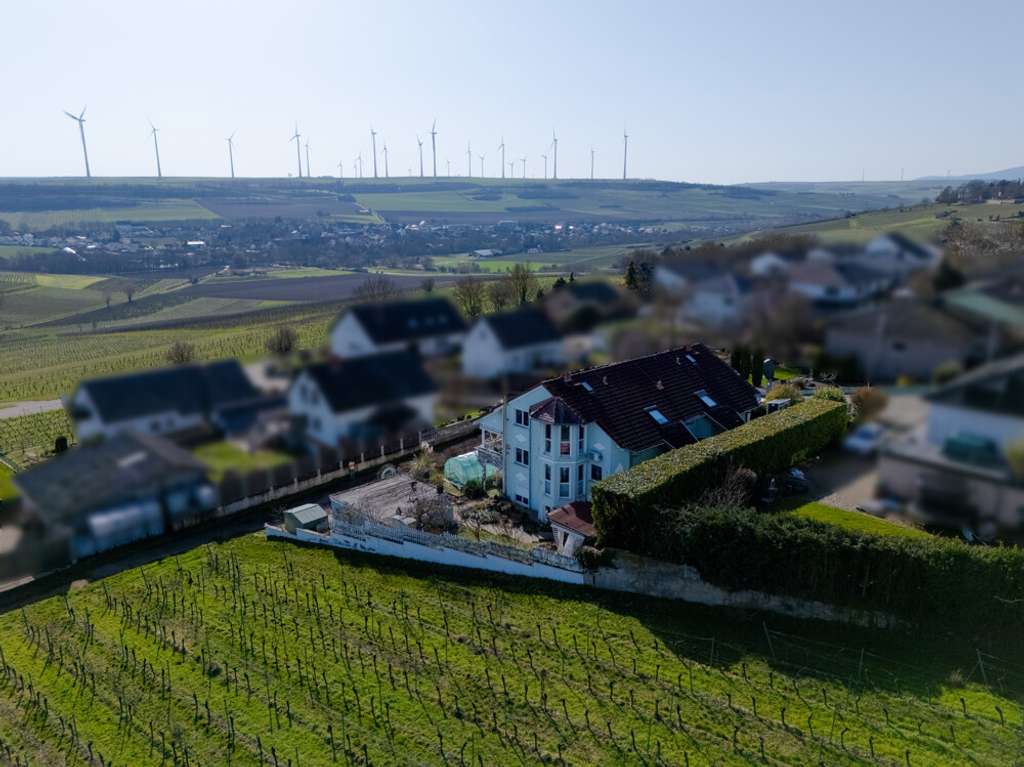 Immobilie in Mölsheim - Weitblick, Weinreben, Wohlfühlen! - Bild 1
