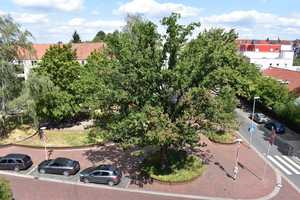 Helle neu sanierte 2-Zimmer-Wohnung in Hannover - List – Klopstockstrasse 25a, 30177 Hannover – Vorschaubild 14