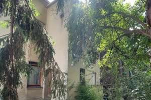 3-Fam.-Haus - Altbau mit hohen Decken - voll unterkellert - solide Substanz - komplett freiwerdend!