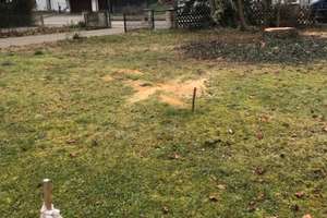 Neubau EFH 120 m² Wohnfläche 380 m² Grund mit Baugenehmigung in Bruckmühl. – Lerchen Straße 19, 83052 Bruckmühl – Vorschaubild 6