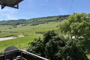 Natur pur - Großes EFH am Ortsrand - Nähe Trier und Luxemburg – Beim Weinskreuz 1, 54340 Leiwen – Vorschaubild 27