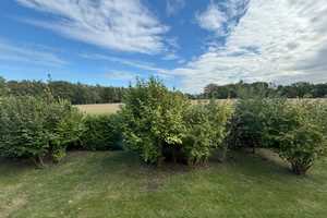 Landleben pur in Charlottendorf! – Oldenburg (Kreis) – Vorschaubild 18