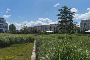 Property thumbnail 14