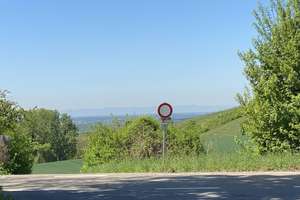 Landwirtschaftliches Anwesen ideal für Pferdehaltung oder andere naturnahe Ideen – Die vollständige Adresse der Immobilie erhältst du vom Anbieter., 69234 Dielheim – Vorschaubild 16