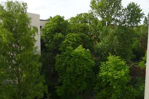 Gerade saniertes, sonniges, ruhiges Single-Apartment nahe U-Bahnhof Birkenstraße! – Wilhelmshavener Straße 00, 10551 Moabit, Berlin – Vorschaubild 9