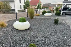 Traumhaus mit Kamin und Wintergarten in ruhiger Lage + PV Anlage – Gifhorn (Kreis) – Vorschaubild 2