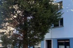 2,5-Zimmer-Wohnung in Duisburg-Hochfeld