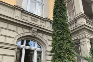 Bel-Etage 5 Zimmer , Kamin, Sauna, 2große Bäder, Luxus Pur – Behlertstrasse 27a, 14467 Nördliche Innenstadt, Potsdam – Vorschaubild 39