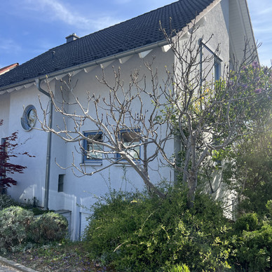 Haus kaufen in Altrip ImmoScout24
