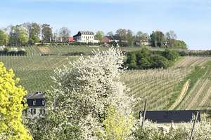 Wohnen mit Ausblick: Dachgeschosswohnung in Wiesbaden (Freudenberg) – Narzissenweg 10, 65201 Dotzheim, Wiesbaden – Vorschaubild 25