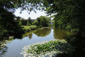 *Resse* großes 2-3-Fam.-Haus direkt am Teich und Waldrand. – Die vollständige Adresse der Immobilie erhältst du vom Anbieter., 30900 Wedemark – Vorschaubild 13
