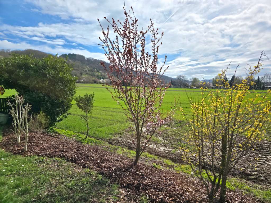 Immobilie in Hemsbach - 3-FH, Selbstbezug UND Kapitalanlage in einer der schönsten Wohnlagen von Hemsbach - Bild 2