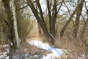 Natur & Baupotenzial vereint – zwei Grundstücke im Paket Drei-Seen-Stadt Lindow (Mark) – Granseer Straße 1, 16835 Ostprignitz-Ruppin (Kreis) – Vorschaubild 15