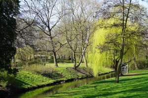 Property thumbnail 11