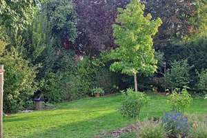 Stilvolle Bauhaus-Villa mit paradiesischem Garten! – Die vollständige Adresse der Immobilie erhältst du vom Anbieter., 55234 Wendelsheim – Vorschaubild 9