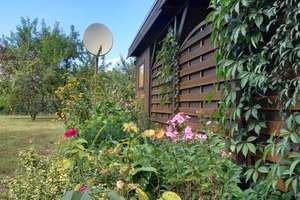 Schönes freistehendes Haus mit großem Garten - Guhrow / Spreewald – 3096 Guhrow – Vorschaubild 17