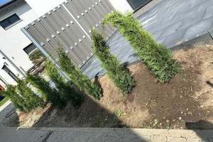 Neuwertiges 5-Zimmer Einfamilienhaus in Braunschweig, Erstbezug 2023