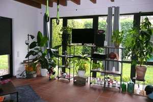 Vermieten und/oder selber wohnen in einem außergewöhnlichen Haus mit Charakter – Wickrather Straße 21, 41236 Rheydt, Mönchengladbach – Vorschaubild 13