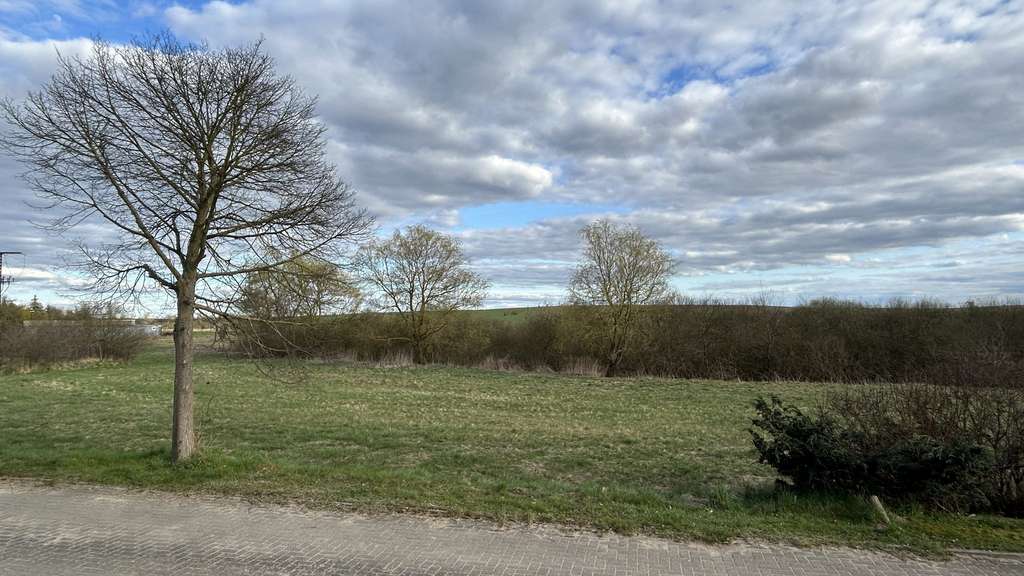 Immobilie in Hohen Wangelin - Mit unverbautem Blick in die Landschaft! - Bild 4