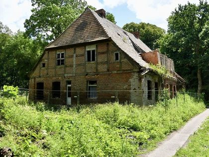 Haus Kaufen In Bergen Auf Rugen Immobilienscout24