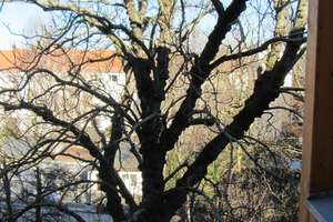 Möblierte moderne 2-ZKB Wohnung mit Einbauküche, Balkon & Aufzug – nah am Clara-Zetkin-Park – Davidstrasse 10, 4109 Zentrum-West, Leipzig – Vorschaubild 20