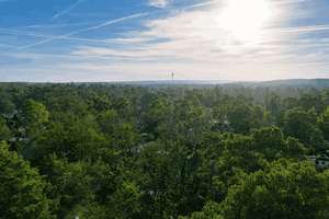 Villa am Golfclub, Wald und Wasser – exklusives Wohnen in Berlin-Kladow – Die vollständige Adresse der Immobilie erhältst du vom Anbieter., 14089 Kladow, Berlin – Vorschaubild 15
