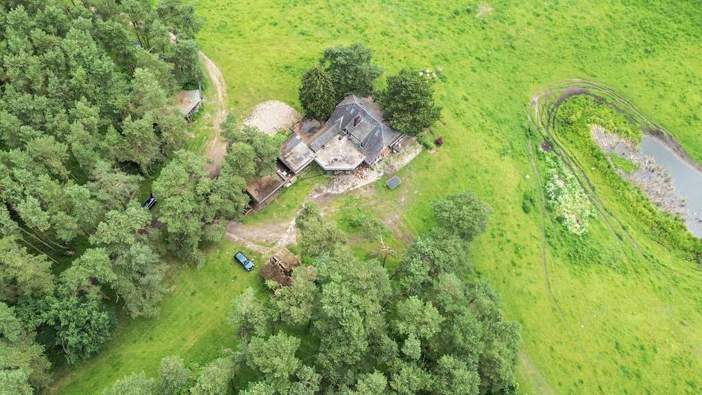 Immobilie in Groß Grönau - Landhaus auf 80 Hektar in Flusslage - Bild 3
