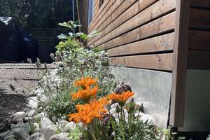 Property thumbnail 16